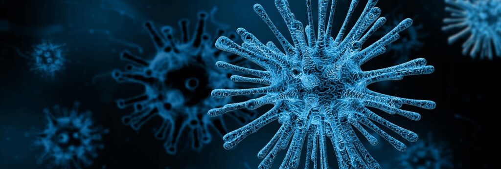 Papillomavirus e cancro, Papillomavirus e cancro: due facce della stessa medaglia