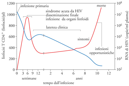 , Immunodeficienza acquisita da HIV